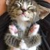 Ellen Tyree - Facebook