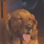 ashrxx - @ellenvalley2008 - Instagram