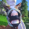 Ellen 🫶 - @ellenbluevalley - TikTok