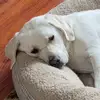 ellen - @ellenofthevalley - TikTok