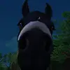 ellen.bluevalley - @ellen.bluevalley - TikTok