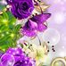 Ellen Vandebosch - Facebook