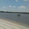 ellenvaughn45 - @ellenvaughn45 - TikTok