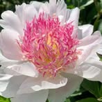 Ellen Venus - Facebook