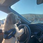 Ellen Vitale - @agent8899 - Instagram