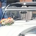 Ellen Voigt - @voigt.ellen - Instagram