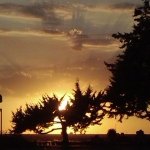 Ellen Voigt - @ellenv_10 - Instagram