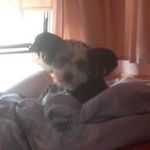 Ellen Voigt - @voigtellen - Instagram