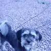 ellenwagner418 - @ellenwagner418 - TikTok