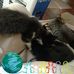 Ellen Wagstaff - Facebook