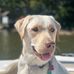 Ellen Wakefield - Facebook