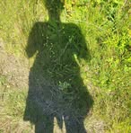 Ellen Waldrop - Facebook