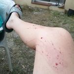 Ellen Lorna Wallace - @ellen_lorna_wallace - Instagram