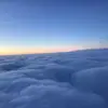 Ellen Wang - @ellen_wang77 - TikTok