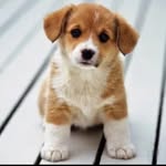 Bridget Ellen Watterson - @bridgetellenwatterson - Instagram