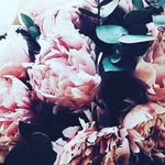 @ellen.watterson - Instagram