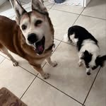 Ellen Weinstein - @eweins9372 - Instagram