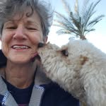 Ellen Weinstein - @weinstein.ellen - Instagram