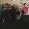 Ellen Weiser - @ellenweiser183 - TikTok