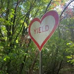 Ellen Anderson Weitzel - @ellenweitzel - Instagram