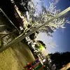 Ellen.Weitzel - @ellenweitzelhzumwk - TikTok