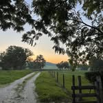 Jo Ellen Wellman Reynolds - @joellenreynolds - Instagram