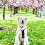 Ellen Welsh Quinn - @ladylola_ofcola - Instagram