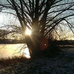 Ellen Welz - @katzenmudder_18 - Instagram