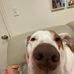 Ellen Weaver - Facebook
