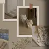 Ellen - @ellenwerner6 - TikTok