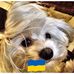 Ellen Werner - Facebook