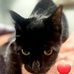 Ellen Werner - Facebook