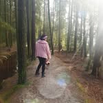 Ellen Werner - @ellenwerner54 - Instagram