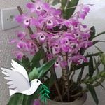 Ilse Ellen Werner - @ilseellenwerner - Instagram