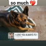 Ellen Wesley - Facebook