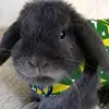 EllenWesleyG_IkgPO - @ellenwesleyg_ikgpo - TikTok