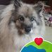 Allan Wadmore - Facebook