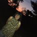 Ellen Whitmore - Facebook