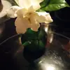 TheMangostrutQueen - @ellenwhitmore - TikTok