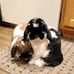 Mary Ellen Whitehouse - Facebook