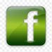 Ellen Whitehurst - Facebook