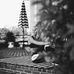 Ellen Whiting Yoga &amp; Fitness - Facebook