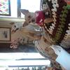 sueellenwhitlock - @sueellenwhitlock - TikTok