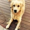 ellie.whittington - @ellie.whittington7 - TikTok