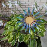 Ellen Wicker - @madra3212 - Instagram