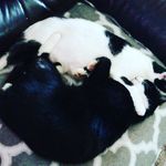 Ellen Wiesner - @ellen.wiesner.9 - Instagram