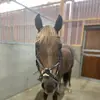 Ella.Wikström - @ella.wik - TikTok