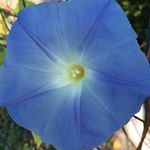 Ellen Wilbur - @wilbur.emarie - Instagram
