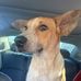 Ellen Wilder - Facebook