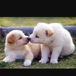 Ellen Wilen - @ellenwilen2007 - Instagram